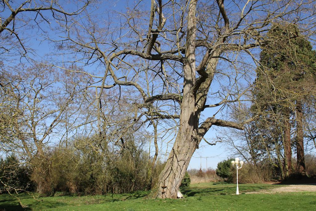 Château de la Folie Trie-Château Quarto foto